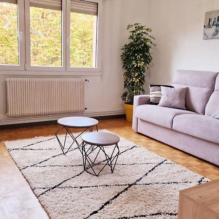 Apartament Le Cosy Des Marronniers - 6 Pers Sélestat Zewnętrze zdjęcie